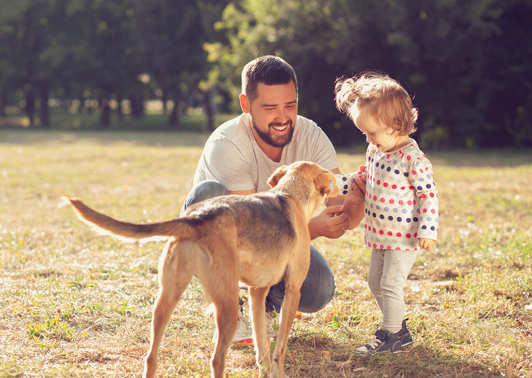 6000now.com - Home of $6000 Cash Advance